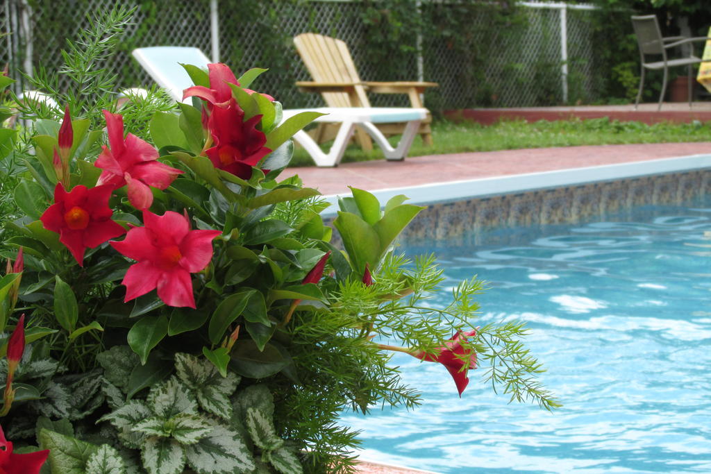Auberge Le Flores Grand Mere Luaran gambar